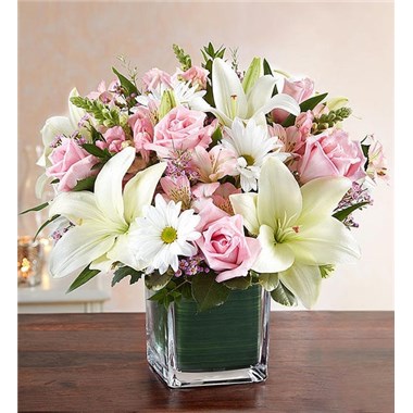 Healing Tears Pink &amp; White 
