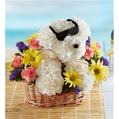 cool pup floral arrangement