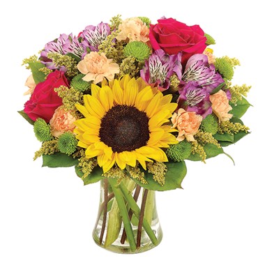 Sunflower Celebration