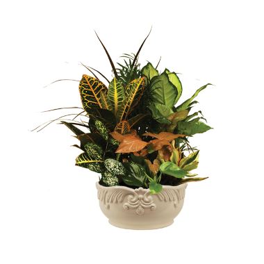 Mixed_Garden_Premium