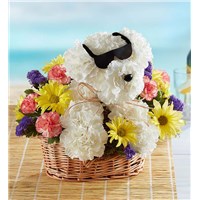 cool pup floral arrangement
