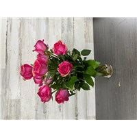 1_Dozen_Pink_Glittered